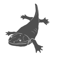 amphibia group icon
