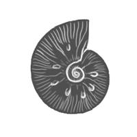 cephalopoda group icon