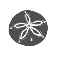 echinodermata group icon