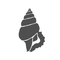 gastropoda group icon