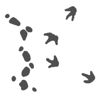 ichnofossilia group icon