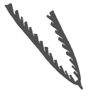 pterobranchia group icon