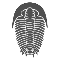 trilobita group icon